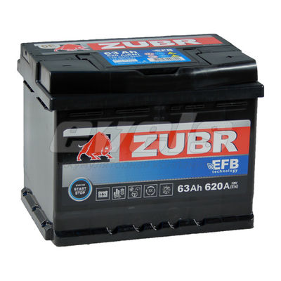 ZUBR EFB  6ст-63 R+ — основное фото