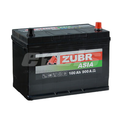 ZUBR Premium Азия  6ст-100 R+ D31 — основное фото